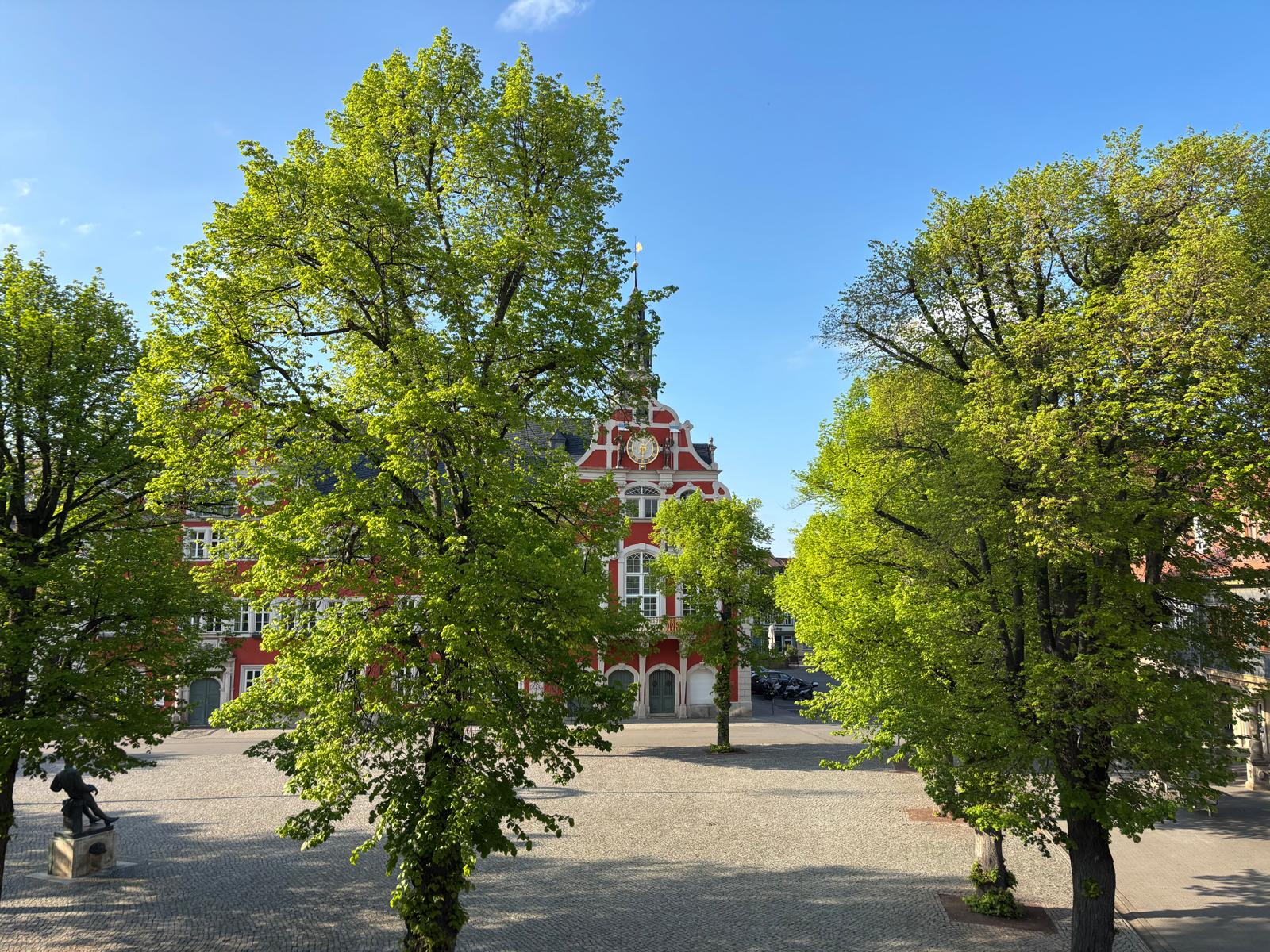 Historischer Marktplatz Arnstadt – Frühling 2026
